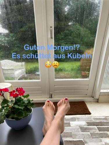 Blick in den "verregneten" Garten