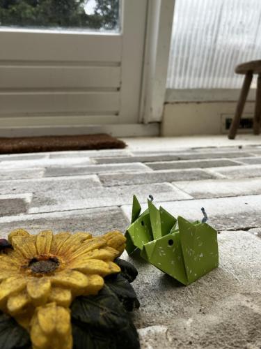 Terrasse mit "Glücksschweinchen"