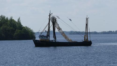 Fischer vor Zeewolde