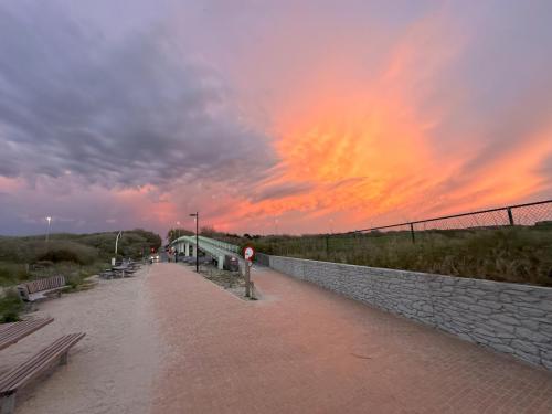 nach Sonnenuntergang