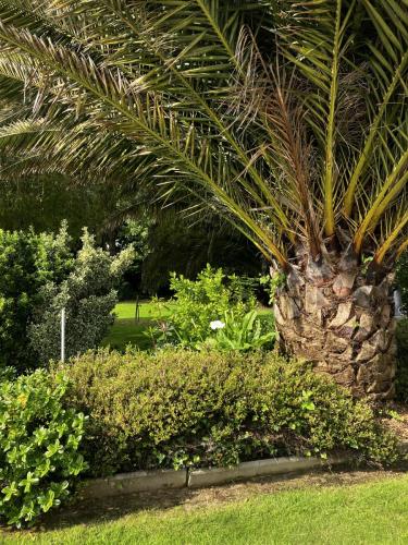 Blick aus dem Zimmer