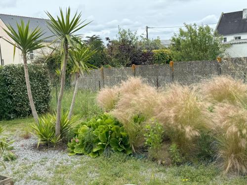 ...hinterm Haus, Garten